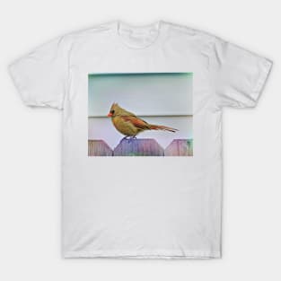 Bird Watching  2 T-Shirt